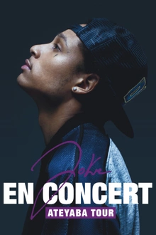 Joke en concert