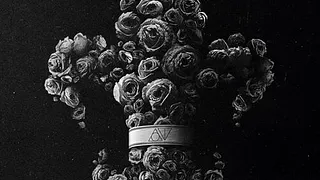 Our Theory + Hot School + Houston + Lie To Meet You