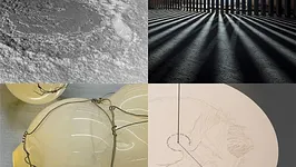 Vernissage de l’exposition "Contraste et indifférence"