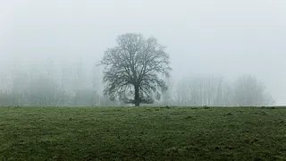Exposition "Perchée & Corsée" - Ode aux saisons d'automne & d'hiver