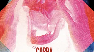 New noise in france #2 : Cobra + extreme precautions + guests