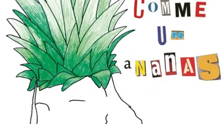 Comme un ananas - Philippe Katerine