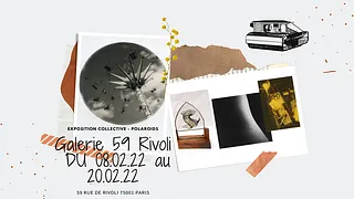 Exposition Collective Polaroids