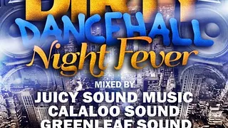 DIRTY DANCE HALL NIGHT FEVER