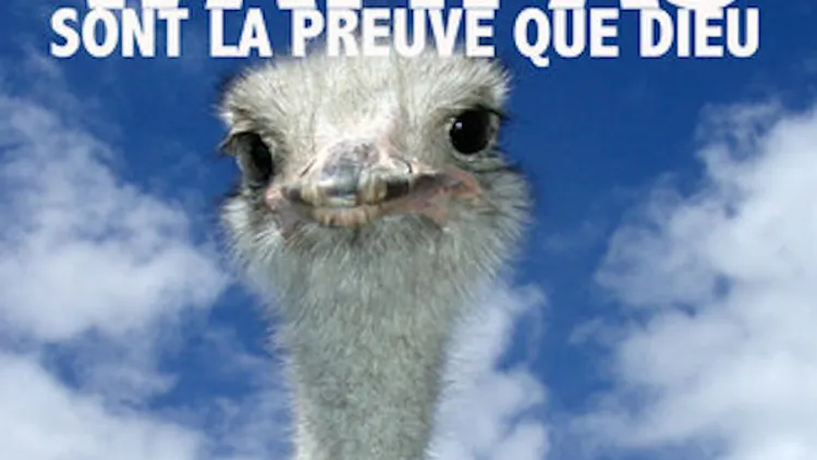 Les Wampas en concert