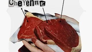 Flesh and Bones