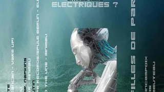 Pourquoi des Moutons Electrique