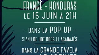 Copa Del Mundo  France Honduras