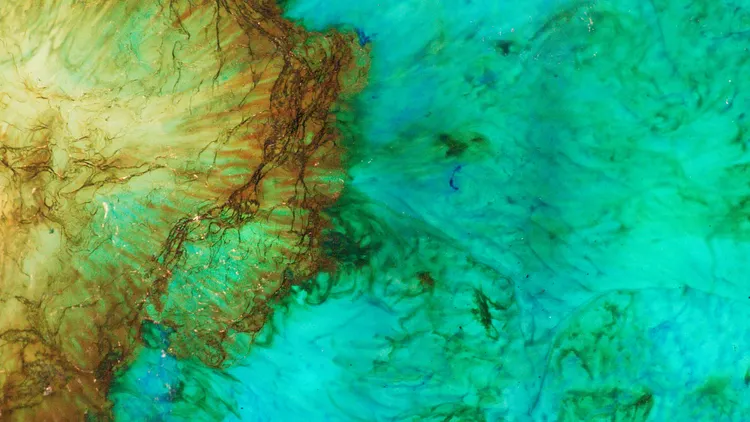 Environmental Gaze | Giselle Hobbs