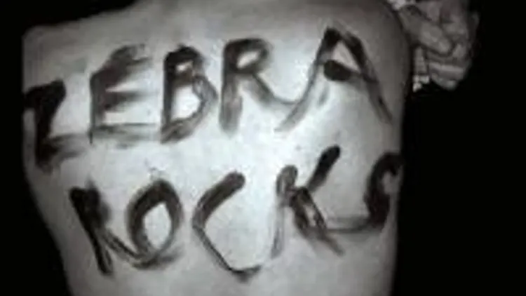 Zebramix