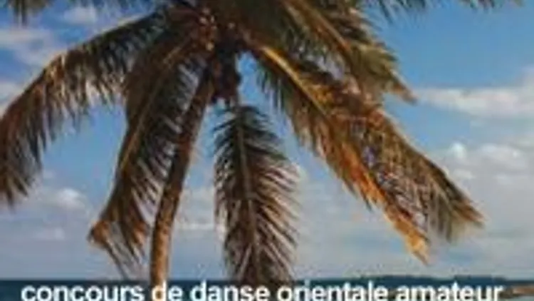 Oriental Academy:concours De Danseoriental Amateu
