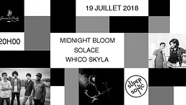 Midnight Bloom - Solace - Whico Skyla