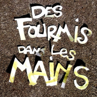 Des Fourmis D
