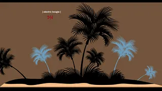 BoogieMagic dj set X Les disquaires