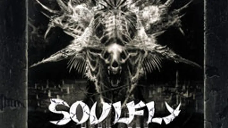Soulfly en concert