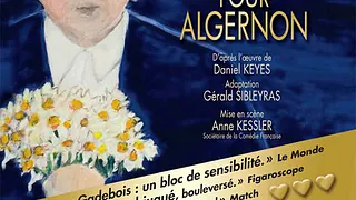 Des Fleurs pour Algernon, reprise au Théâtre Hébertot