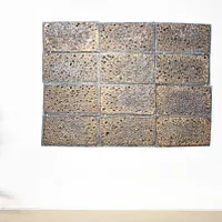 Vincent Dubourg, Densité