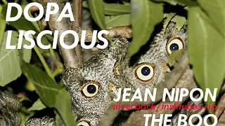 SPOTTIEOTTIEDOPALISCIOUS / THE TOWN invitent JEAN NIPON & THE BOO