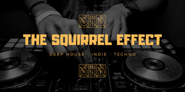 THE SQUIRREL EFFECT ◈ DJ SET