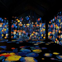 Atelier des Lumières