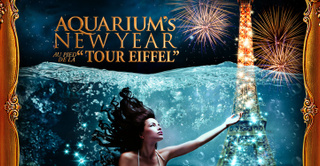 Aquarium's New Year 'Tour Eiffel'