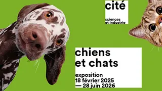 Chiens et chats