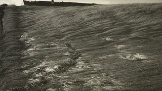 Maîtres de la photographie tchèque d’avant-garde