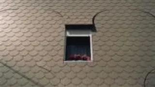 Panik
