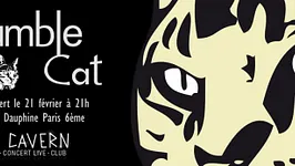 Rumble Cat en concert au Cavern