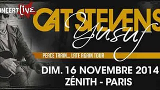 Cat Stevens en concert