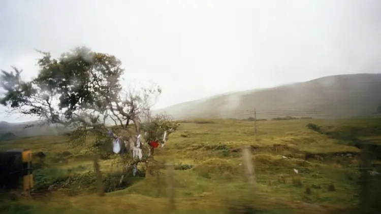Exposition Tow Wood - Paysages intimes