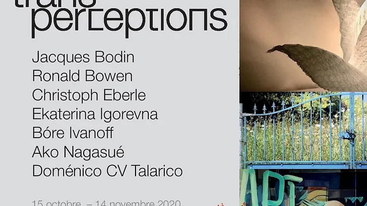 Transperceptions