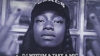 LITTLE SIMZ en concert