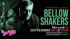 Bellow Shakers