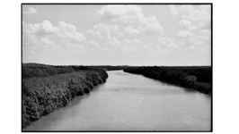 Zoe Leonard - Al río / To the River