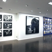 Colette