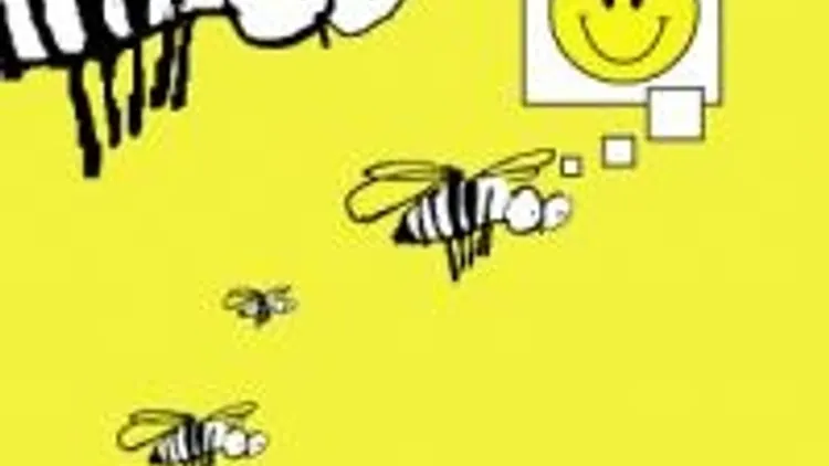 Bucolic Eclectic Electronic