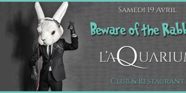 L'aQuarium - Beware of the Rabbit