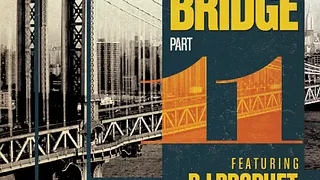 The Bridge part XI