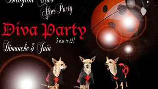 DIVA party