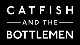 Catfish and The Bottlemen en concert