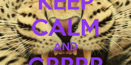 Keep Calm & Grrr Grrr