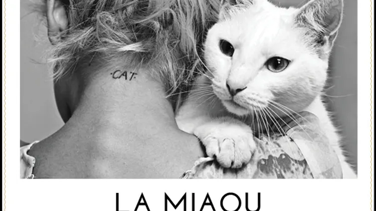 La Miaou: Apero & Soirée