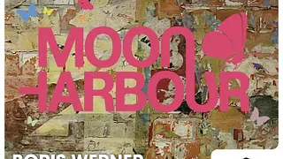 Moon Harbour Night @ Régine's