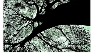 DEEPLY ROOTED W/DJ DEEP - TERENCE FIXMER - LEIF