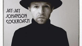 Jay jay johanson en concert