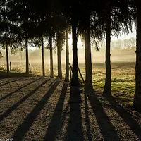 Exposition "Perchée & Corsée" - Ode aux saisons d'automne & d'hiver