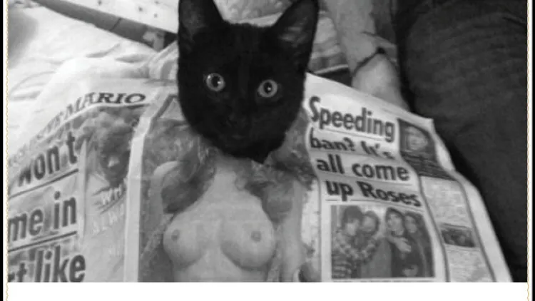 Le Minou au Chacha