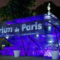 L'Aquarium Club