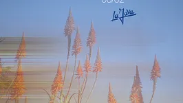 Confluence #6 - Andrew Ashong & Alexander Nut